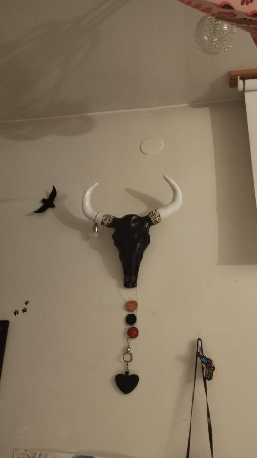 Day Nightand Art Apartament Viena